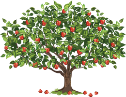 apple-tree